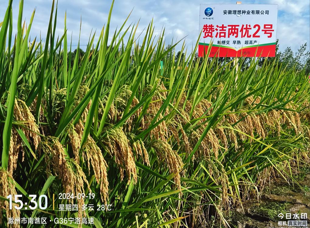 贊2， 4.58M(1).jpg